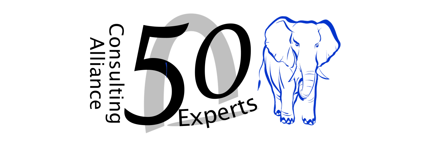 50 Experts - Silver Backs for project leadership