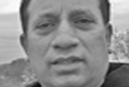 Mallik Arjun Vempati, Aviation Expert